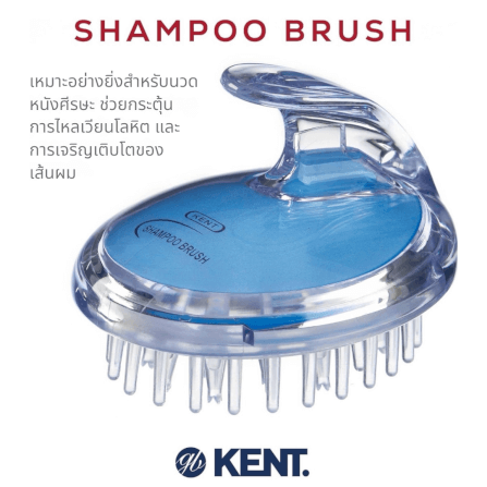 แปรงสระผม KENT SHAMPOO AND SCALP MASSAGE BRUSH สีฟ้า_7
